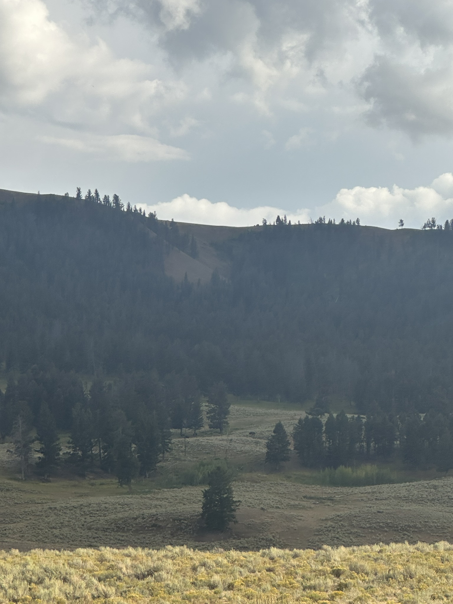 Yellowstone And Grand Teton National Parks - Image 1102